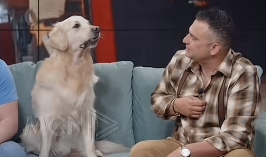 Tobi i cirkut , qeni që flet mahnit moderatoret ( video )