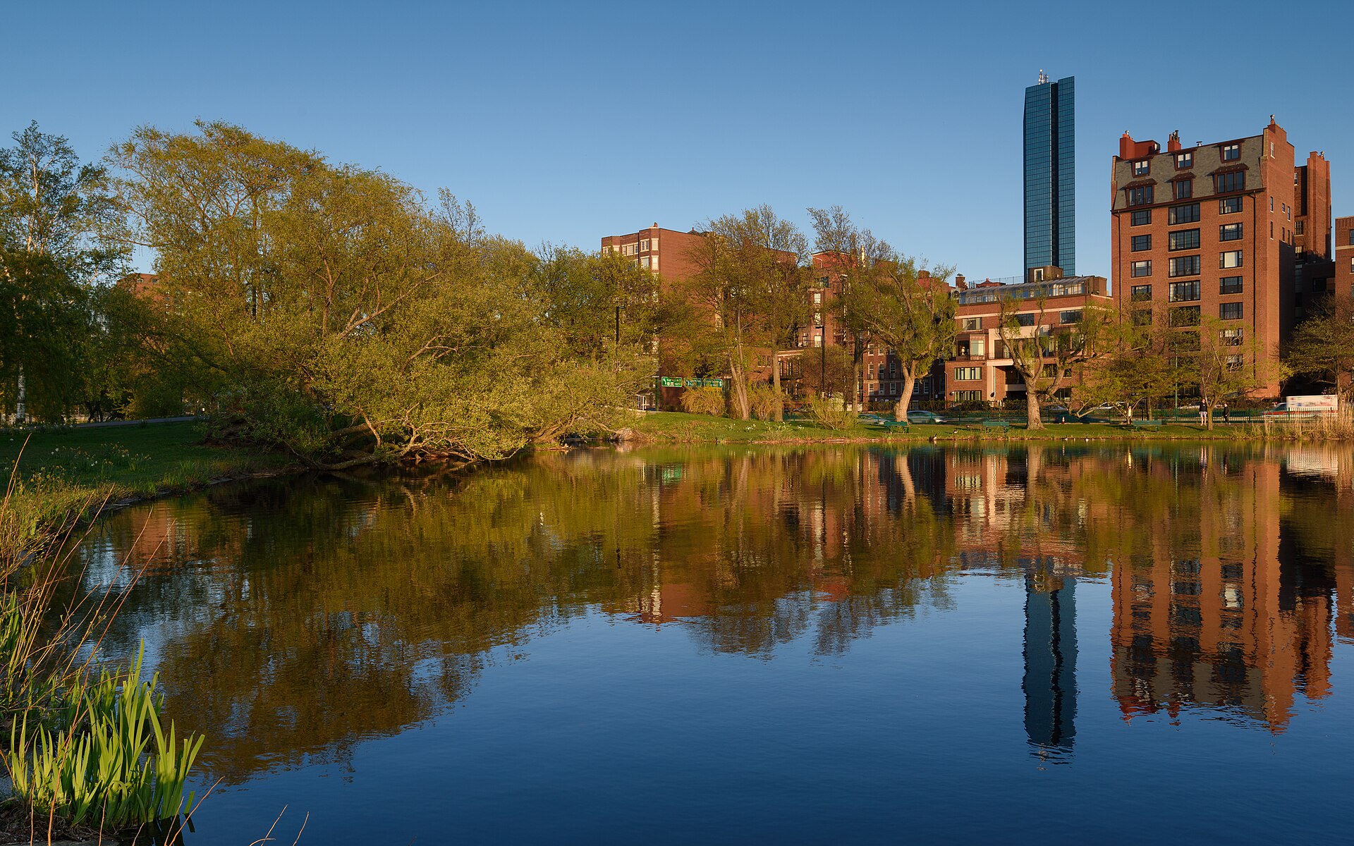 Trees and Boston buildings reflected in the Charles River