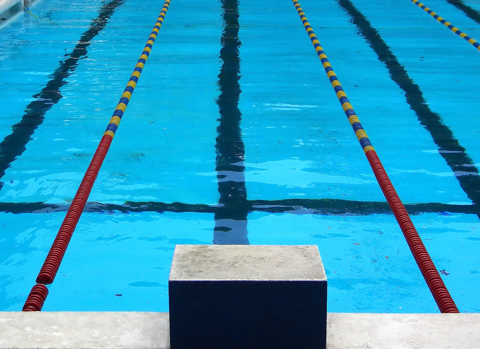 Swimming pool starting block and lanes